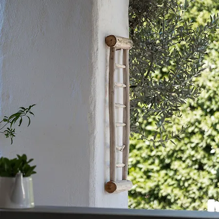 Masseria Li Foggi Lantställe *